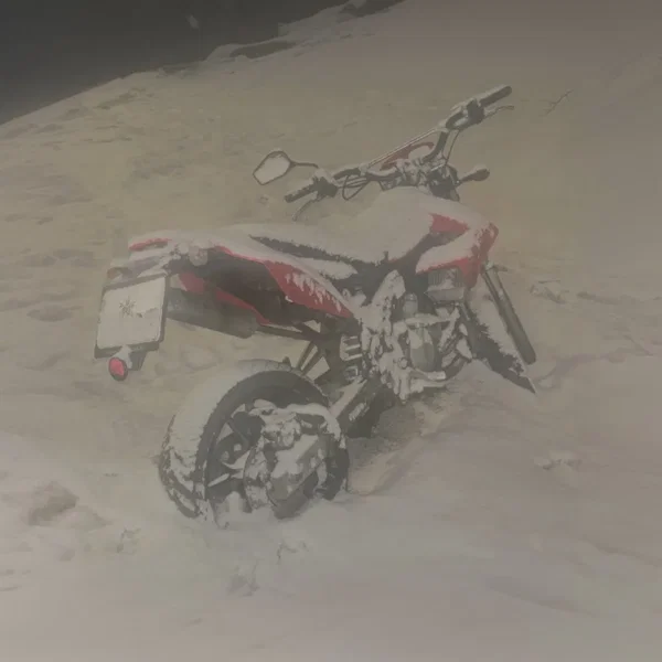 My Heart Only Wants You