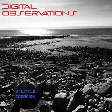 A Little Coercion by Digital Observations - album cover