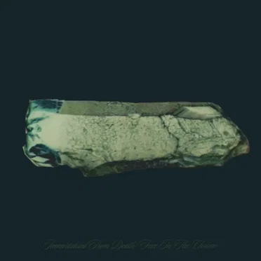 Immortalised From Death / Face In The Chrome