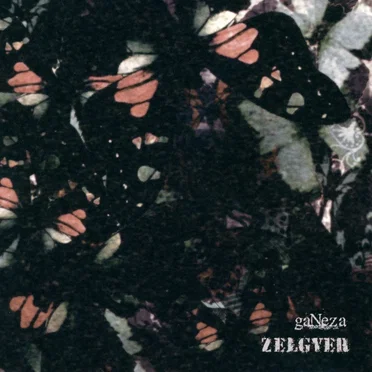 gaNeza by ZELGYER - album cover