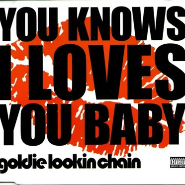 You Knows I Loves You by Goldie Lookin Chain - album cover