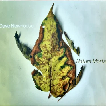 Natura Morta by Dave Newhouse - album cover