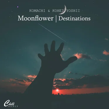 Moonflower / Destinations