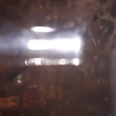 files / flies