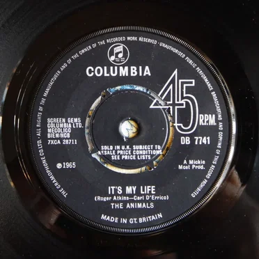 It’s My Life / I’m Going to Change the World