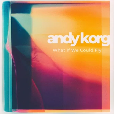 What If We Could Fly by Andy Korg - album cover