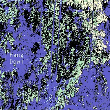 Hang Down by Mr. Smolin - album cover
