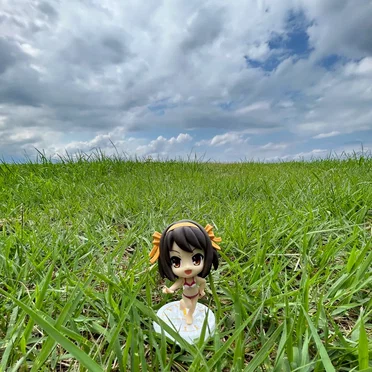 NISHINOMIYA NORTH HIGH SCHOOL GIRL DISTORTIONAL ADDICT