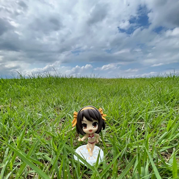 NISHINOMIYA NORTH HIGH SCHOOL GIRL DISTORTIONAL ADDICT