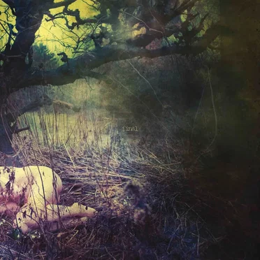 The Apple Never Falls Far From the Tree