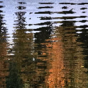 hylätty metsä by kuusen aika - album cover