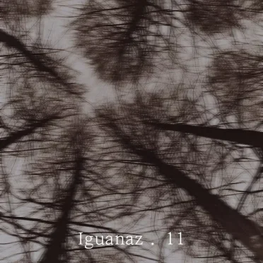iguanaz. 11