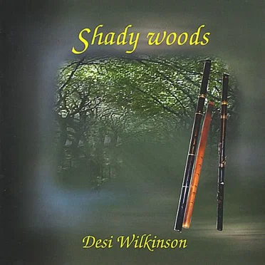Shady Woods by Desi Wilkinson - album cover