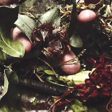 Birth and Loss by Birth and Loss - album cover