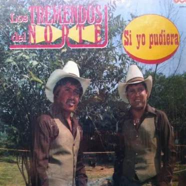Si yo pudiera