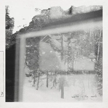 Winter in the Woods