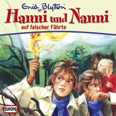 Hanni und Nanni 25: ... auf falscher Fährte by Hanni und Nanni - album cover