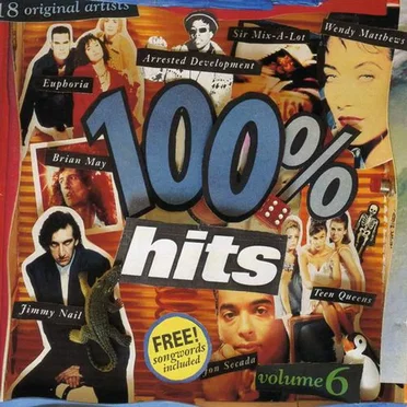 100% Hits, Volume 6 by Various Artists - album cover