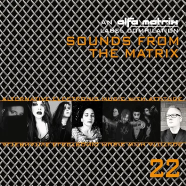 Sounds From the Matrix 022 by Various Artists - album cover