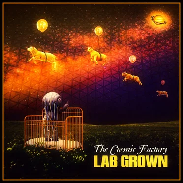 Lab Grown by The Cosmic Factory - album cover