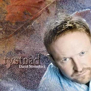 Tystnad by David Strömbäck - album cover
