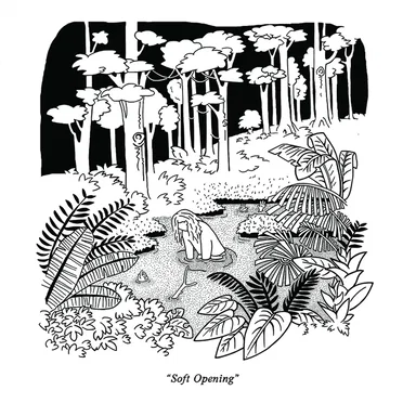 Soft Opening