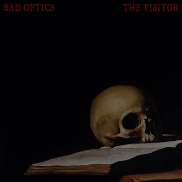 The Visitor by Bad Optics - album cover