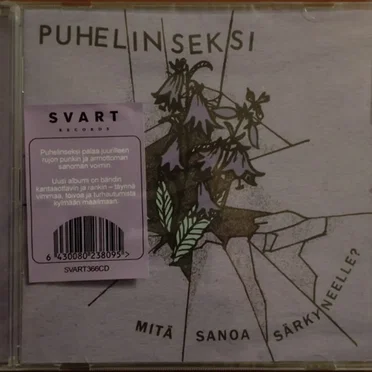 Mitä sanoa särkyneelle? by Puhelinseksi - album cover