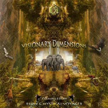 Visionary Dimensions by Various Artists - album cover