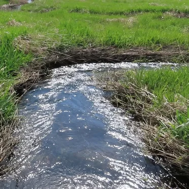 North Creek Park (04-05-2025) (Camera Recording)