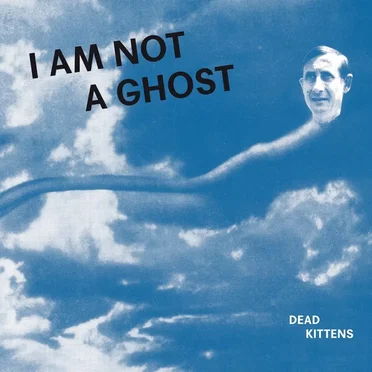 I Am Not a Ghost by Dead Kittens - album cover