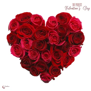The Perfect Valentine's Day by Various Artists - album cover