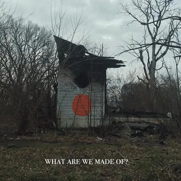 What Are We Made Of?