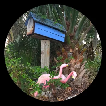 Mood Provider Vol. 4 by Flamingosis - album cover