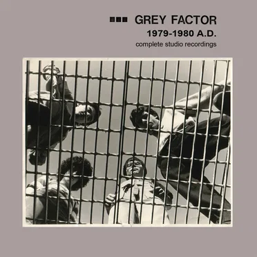 GREY FACTOR: 1979-1980 A.D. - Complete Studio Recordings by Grey Factor - album cover