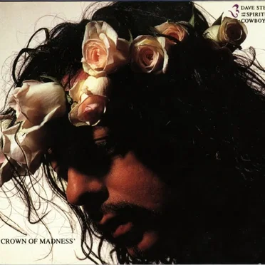 Crown of Madness by Dave Stewart & The Spiritual Cowboys - album cover