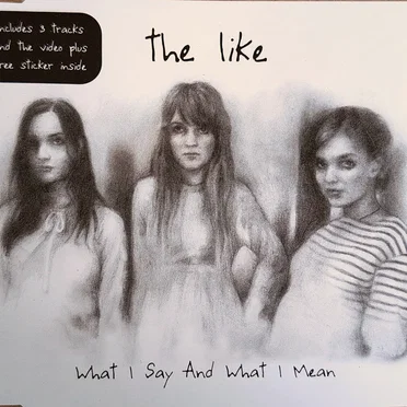 What I Say And What I Mean