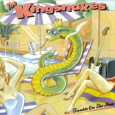Trouble on the Run by The Kingsnakes - album cover