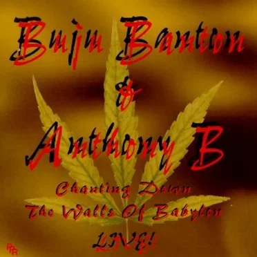 Chanting Down The Walls of Babylon Live!