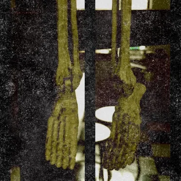 Sleep Study One & Two