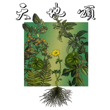 檳榔袋鼠