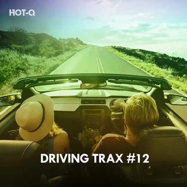 Driving Trax, Vol. 12 by Various Artists - album cover