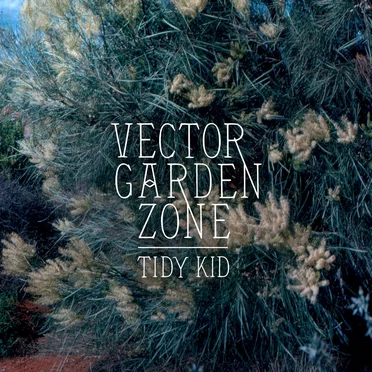 Vector Garden Zone by Tidy Kid - album cover