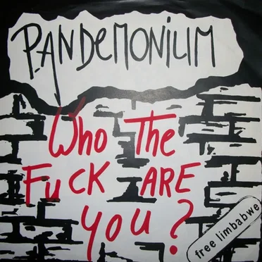 Who The Fuck Are You ?