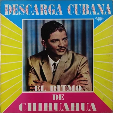 Chihuahua All Stars