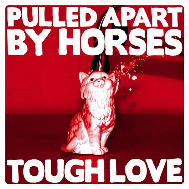 Tough Love by Pulled Apart by Horses - album cover