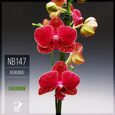 Vagabon by Remundo - album cover