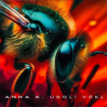 Údolí včel by Anna K - album cover