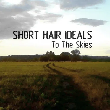 To the Skies by Short Hair Ideals - album cover
