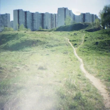 Дворы Нашего Детства by Assembly of Honey - album cover